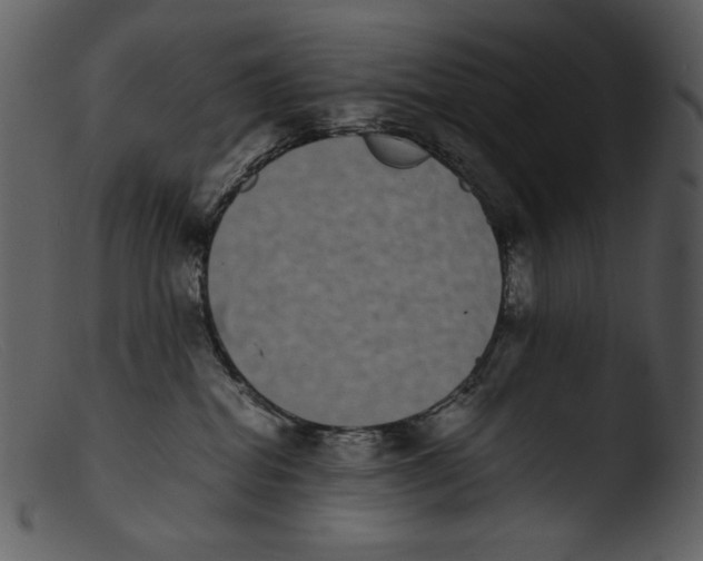 X0000103270282200809261209