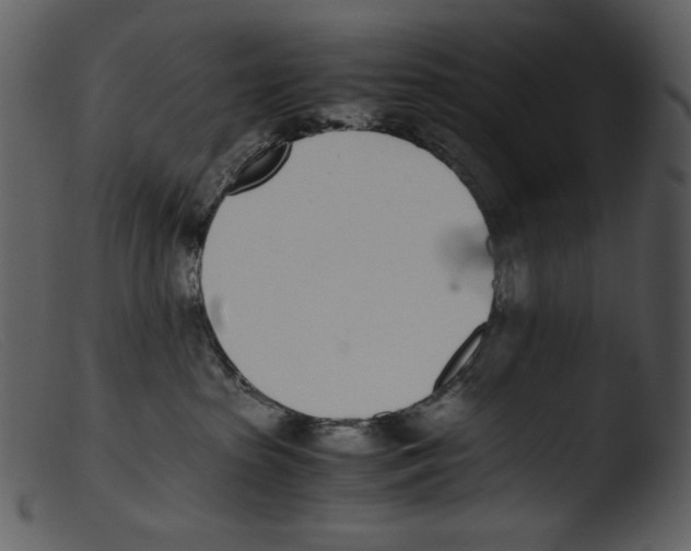X0000103270285200809261209
