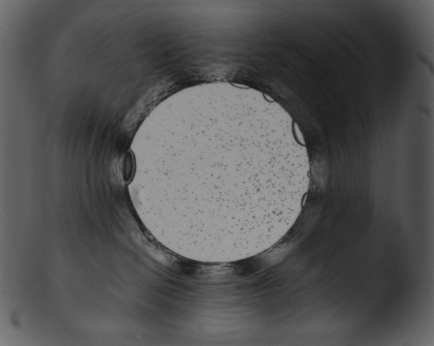 X0000103270286200809261209