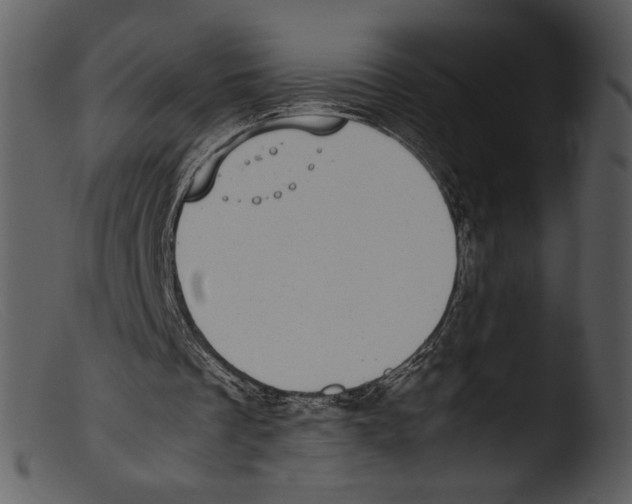 X0000103270289200809261208