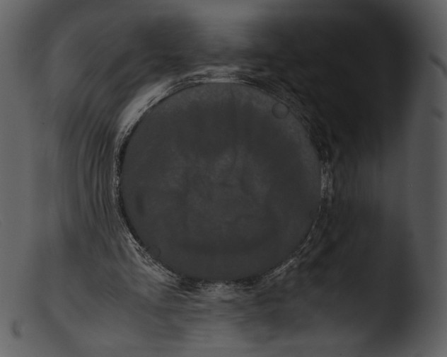 X0000103270293200809261208