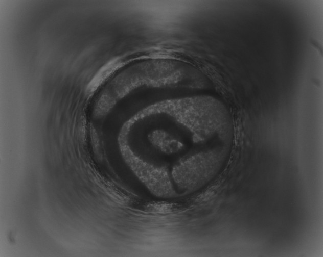 X0000103270295200809261208