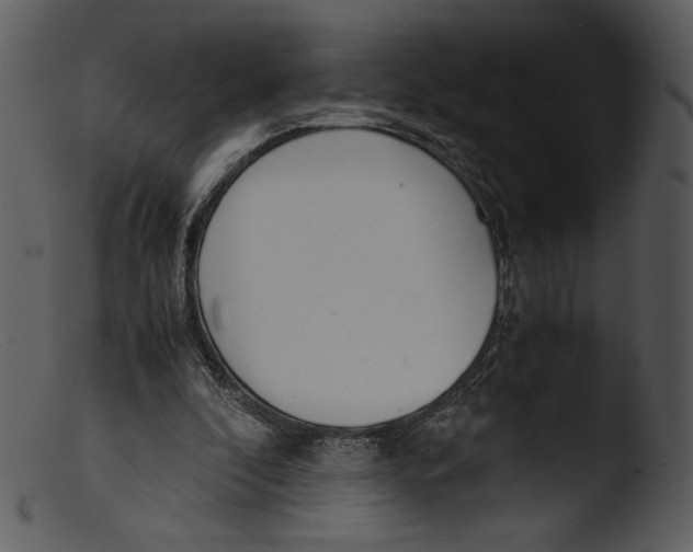 X0000103270296200809261208