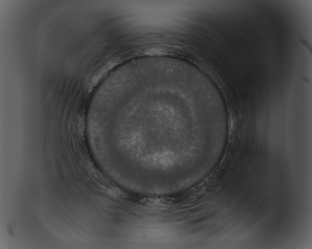 X0000103270297200809261208