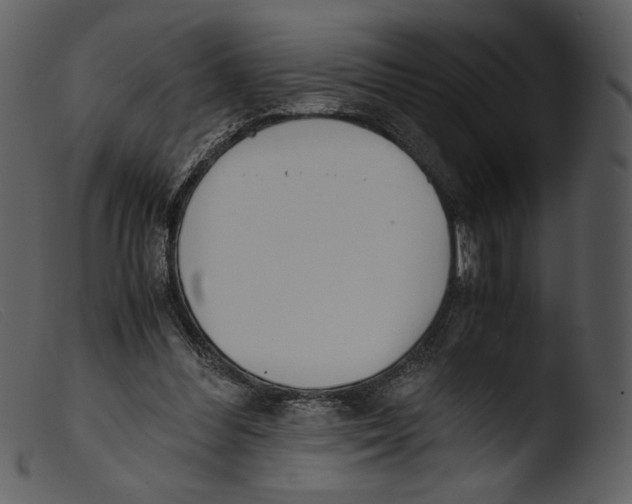 X0000103270300200809261208