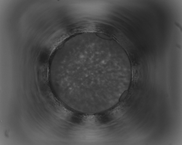 X0000103270301200809261208
