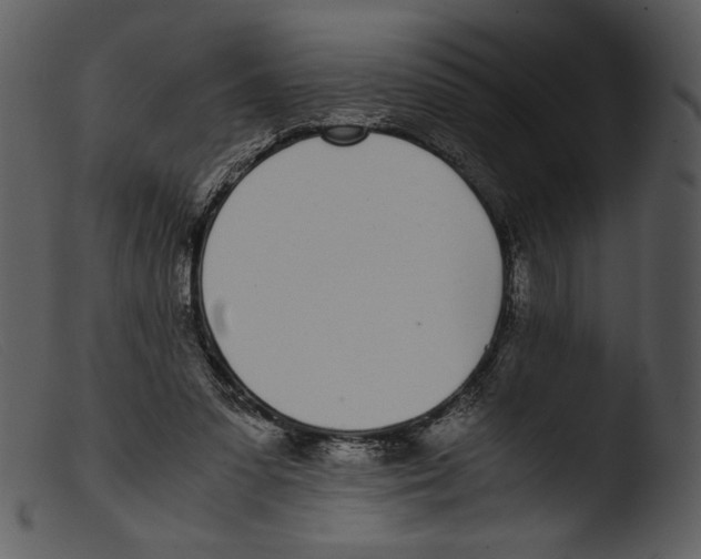 X0000103270303200809261208