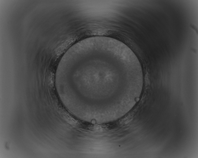 X0000103270305200809261208