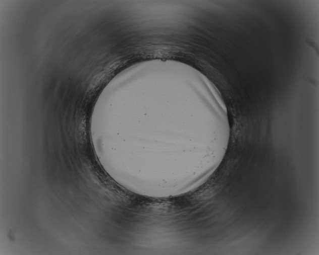 X0000103270306200809261208
