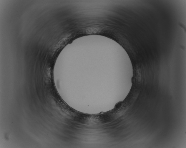 X0000103270308200809261208