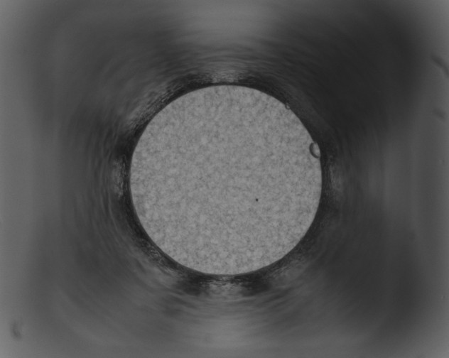 X0000103270311200809261208