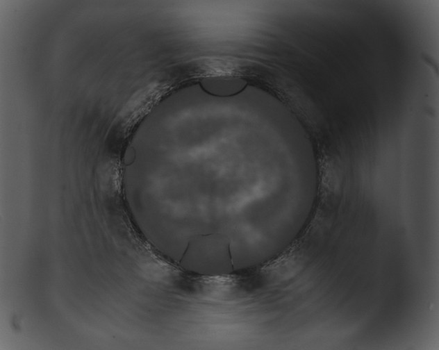 X0000103270313200809261208