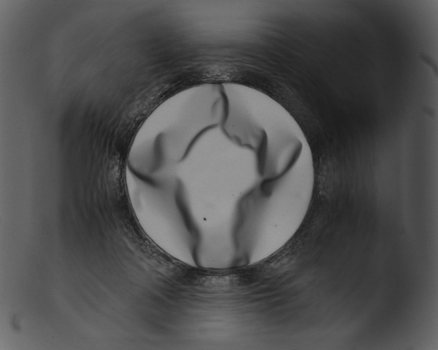 X0000103270314200809261208