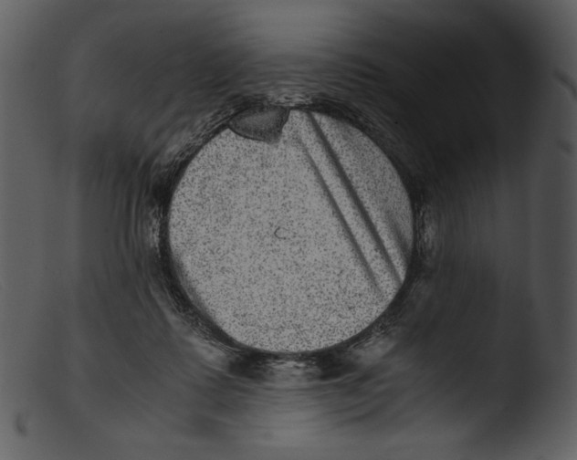X0000103270315200809261208