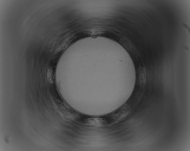 X0000103270316200809261208