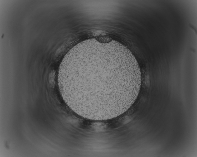 X0000103270319200809261208