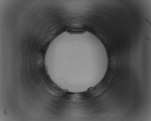 X0000103270320200809261208
