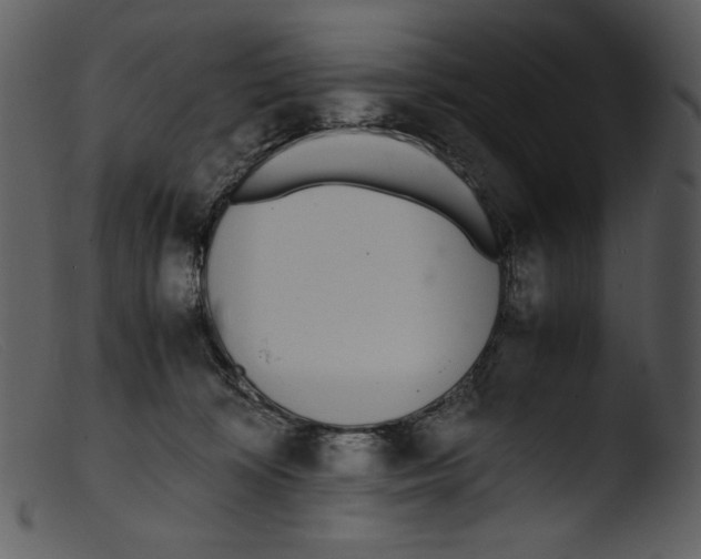 X0000103270324200809261208