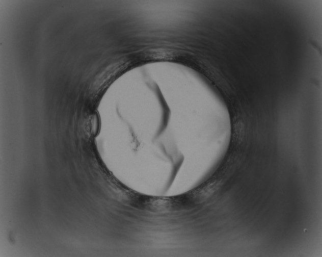 X0000103270325200809261208