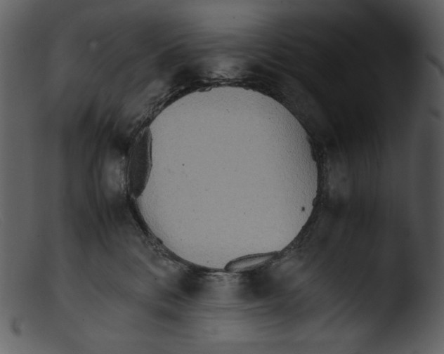 X0000103270328200809261208