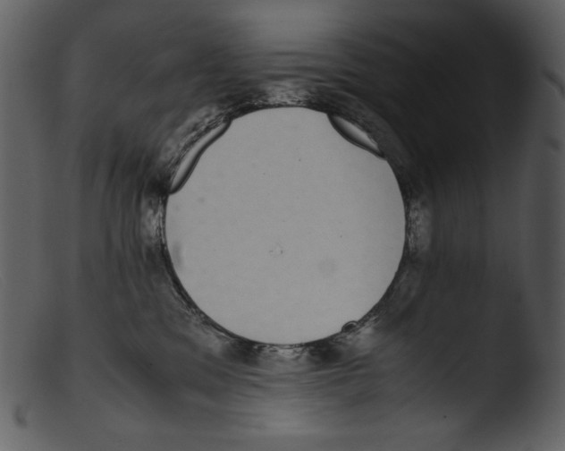 X0000103270329200809261208