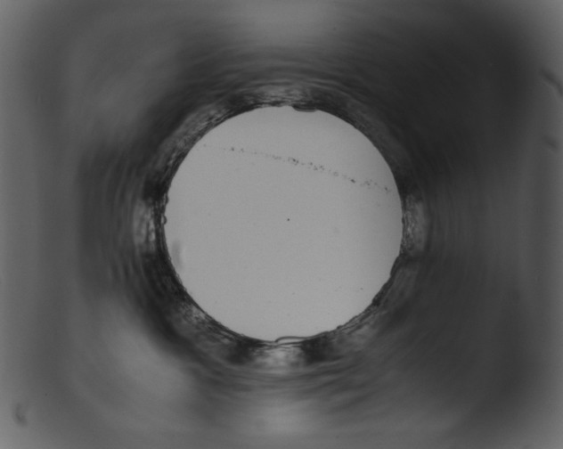 X0000103270333200809261208