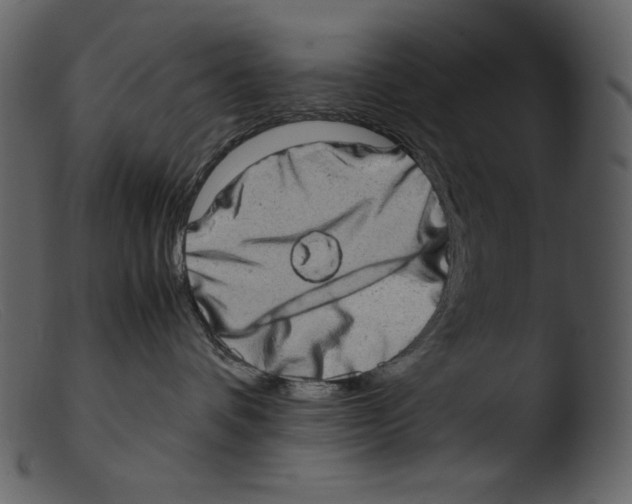 X0000103270336200809261208