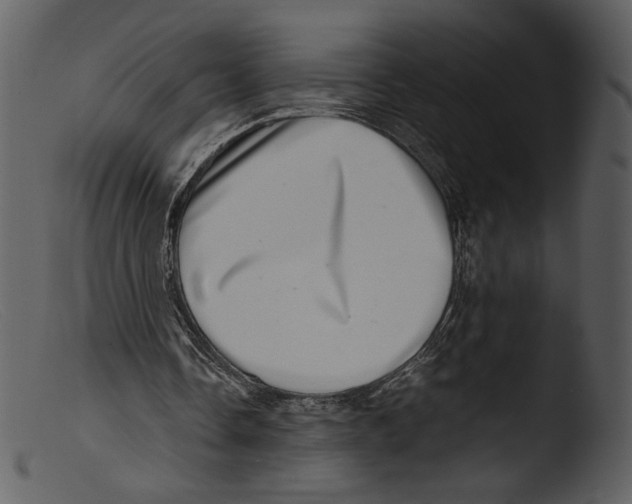 X0000103270338200809261207