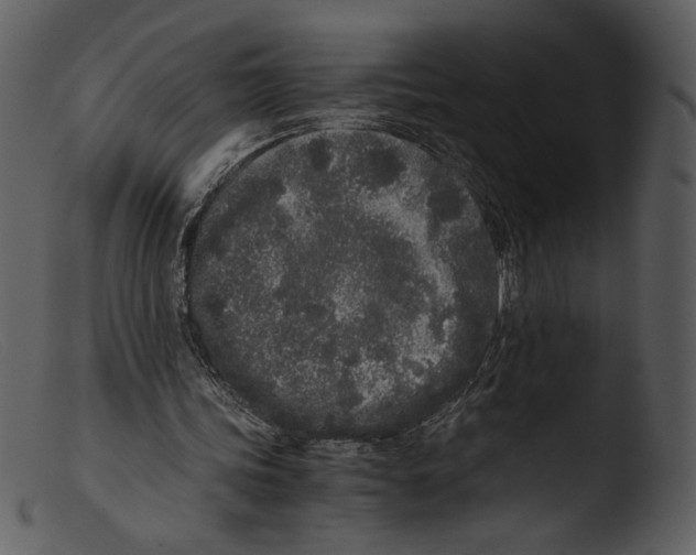 X0000103270339200809261207