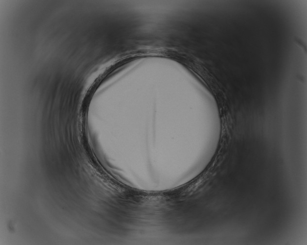 X0000103270342200809261207