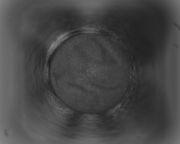 X0000103270343200809261207