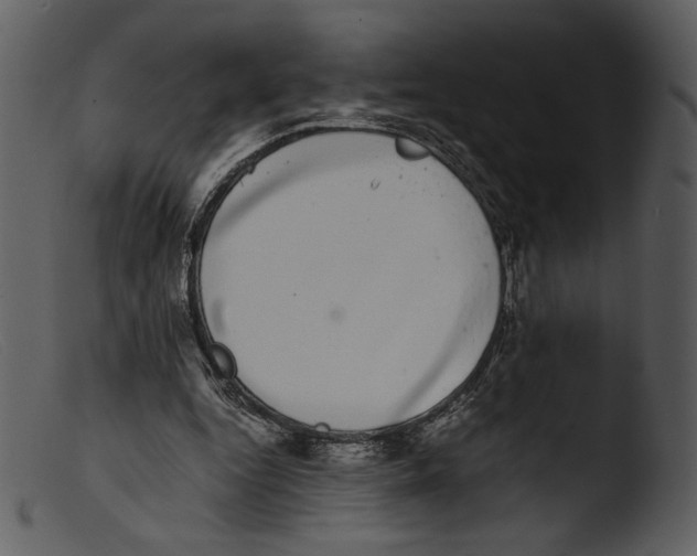 X0000103270344200809261207