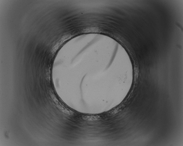 X0000103270345200809261207
