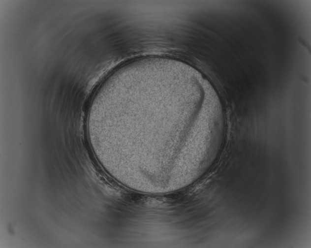 X0000103270346200809261207