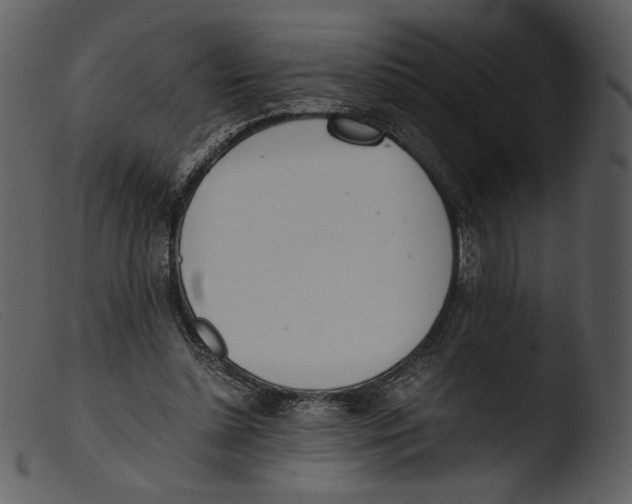 X0000103270348200809261207