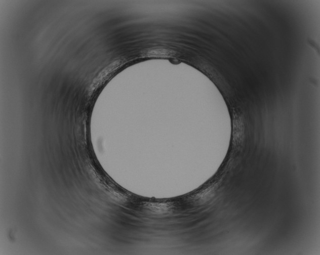 X0000103270349200809261207