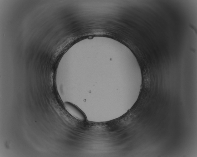 X0000103270350200809261207