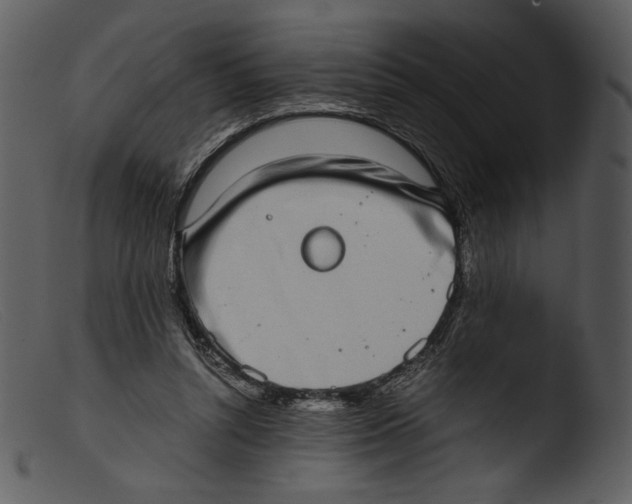 X0000103270352200809261207