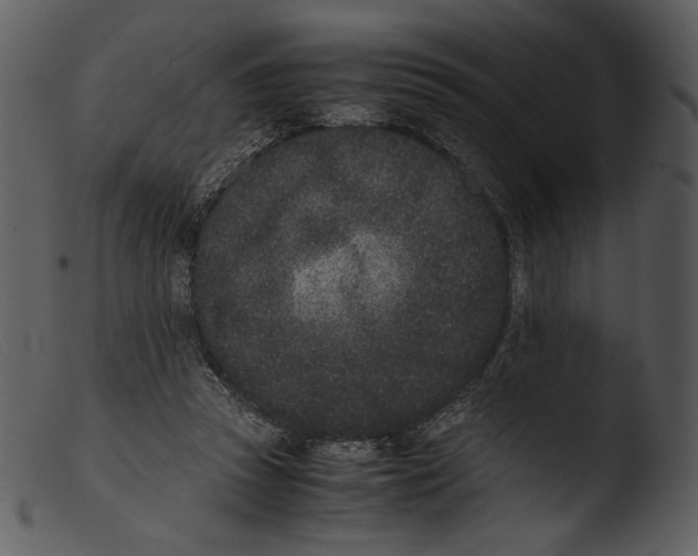 X0000103270353200809261207