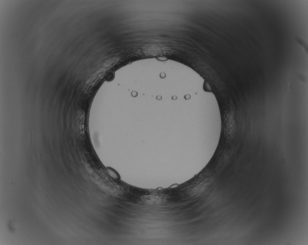 X0000103270356200809261207