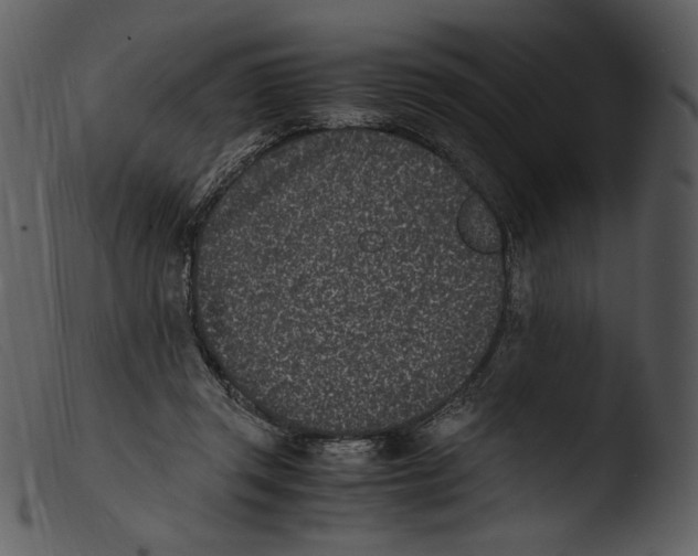X0000103270357200809261207