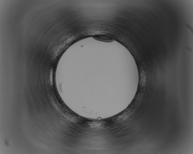 X0000103270358200809261207