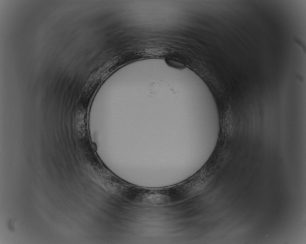 X0000103270360200809261207