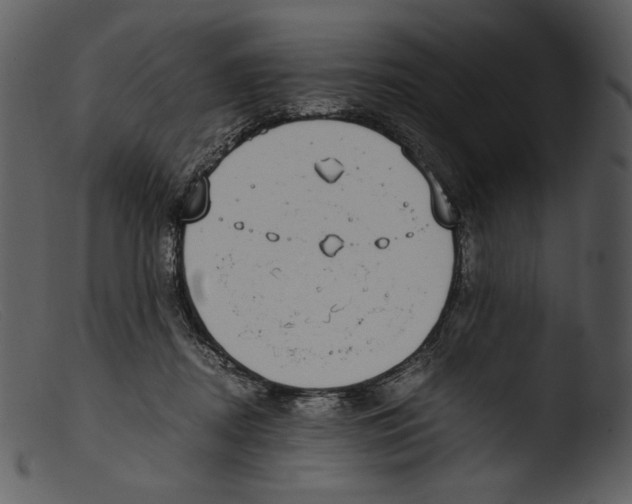 X0000103270362200809261207