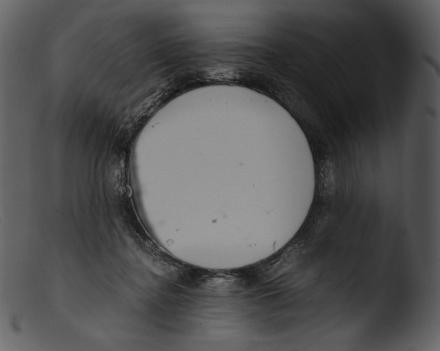 X0000103270364200809261207
