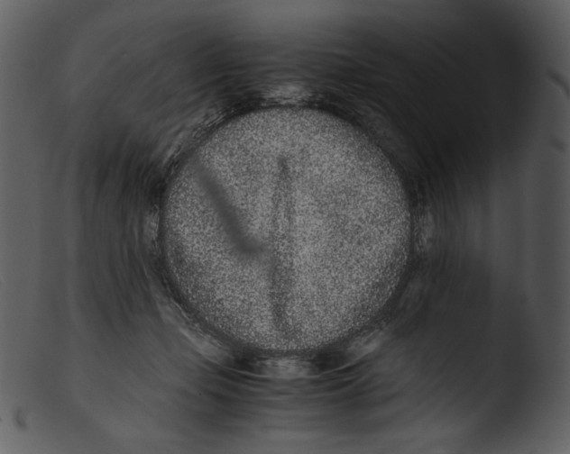 X0000103270365200809261207