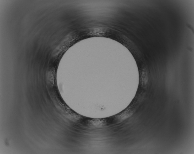 X0000103270370200809261208