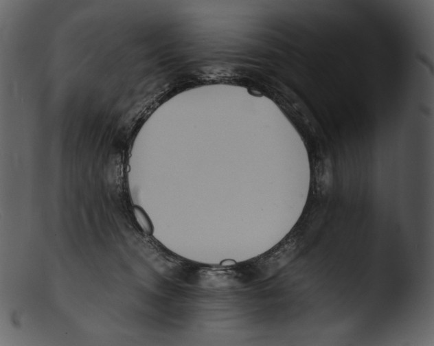X0000103270372200809261208