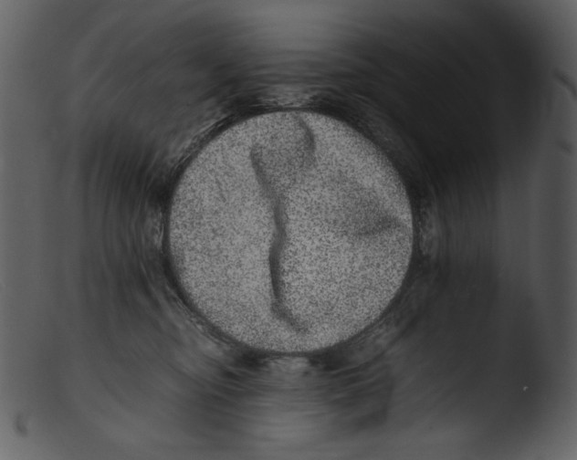 X0000103270374200809261208