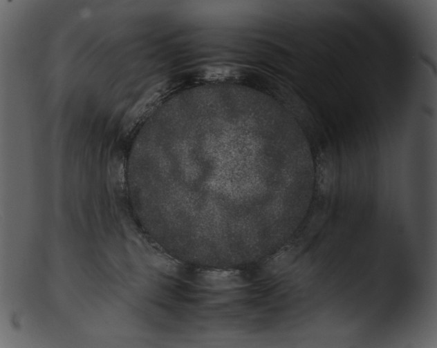 X0000103270375200809261208